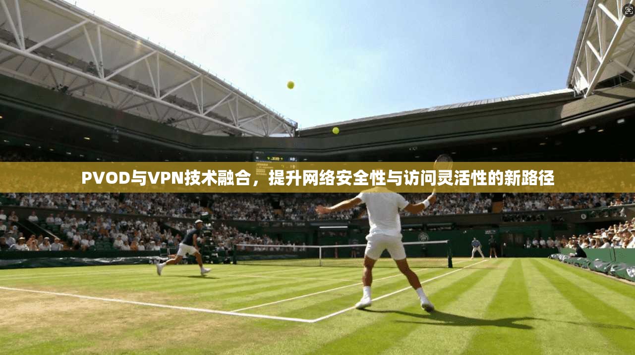 PVOD与VPN技术融合，提升网络安全性与访问灵活性的新路径