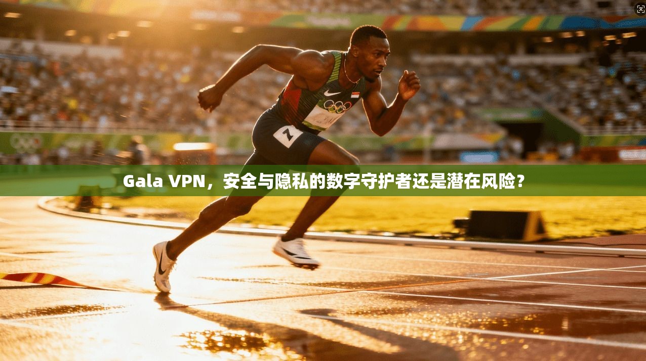 Gala VPN，安全与隐私的数字守护者还是潜在风险？
