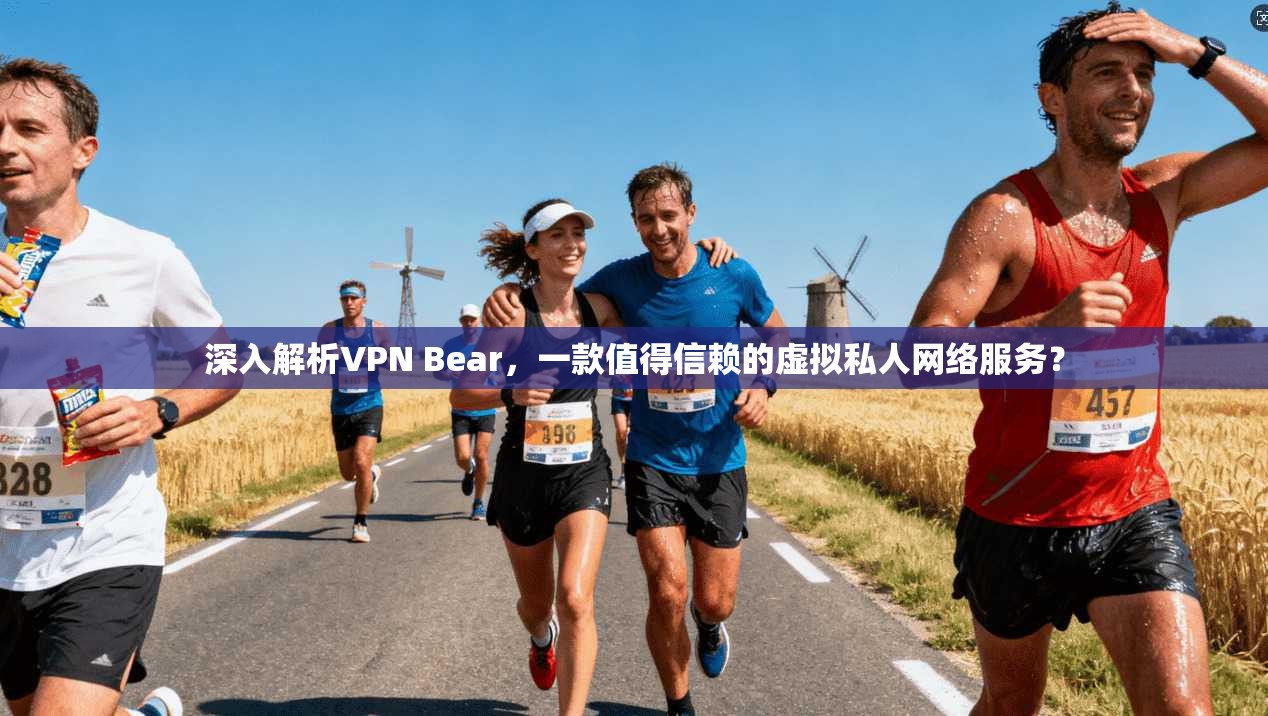 深入解析VPN Bear，一款值得信赖的虚拟私人网络服务？