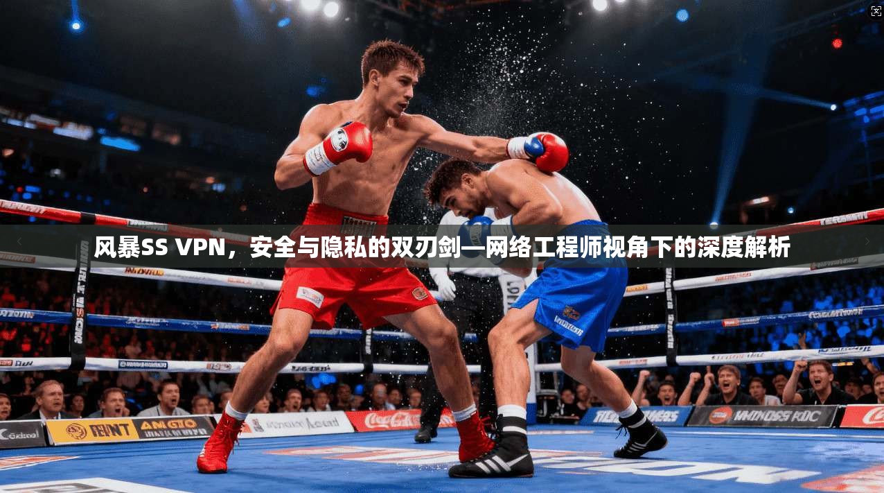 风暴SS VPN，安全与隐私的双刃剑—网络工程师视角下的深度解析