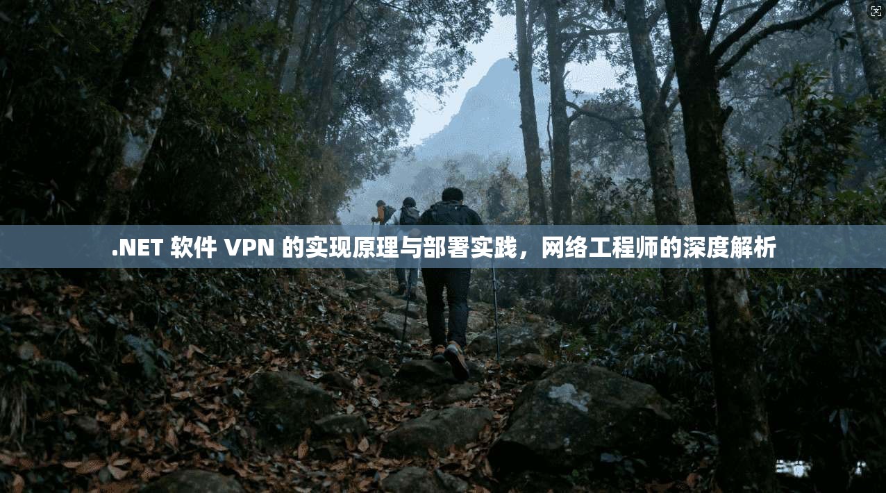 .NET 软件 VPN 的实现原理与部署实践，网络工程师的深度解析
