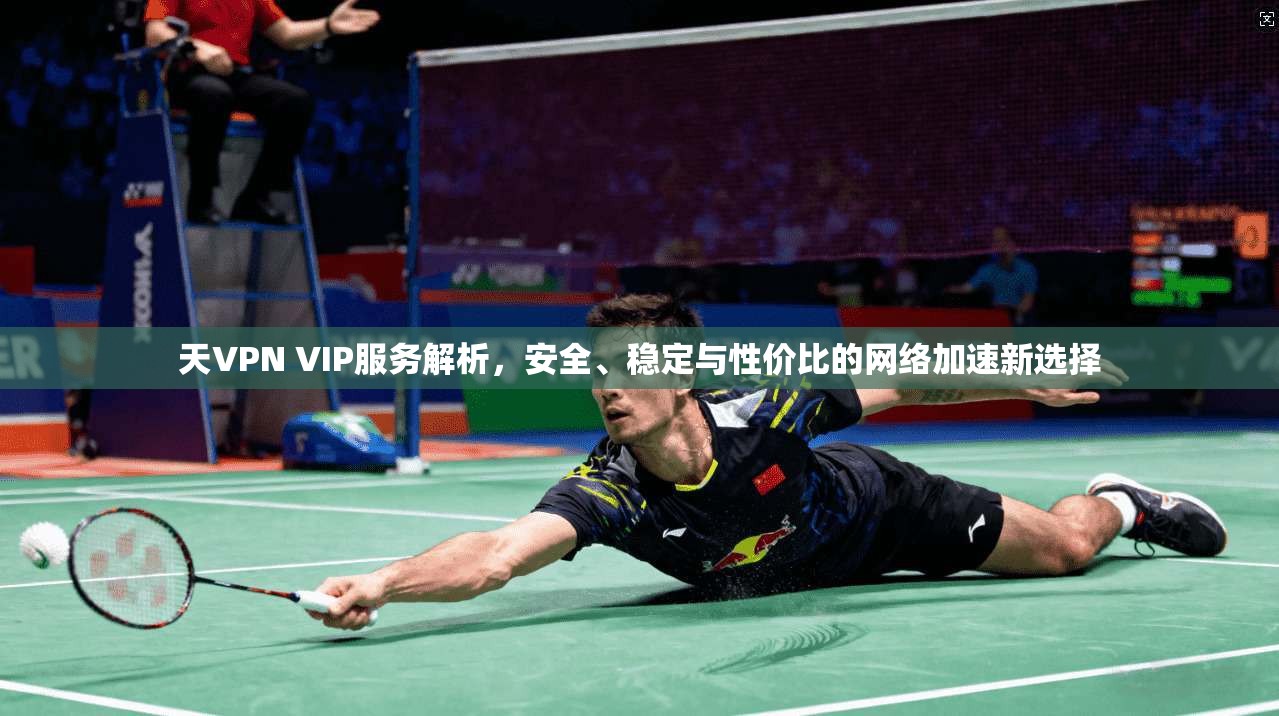 天VPN VIP服务解析，安全、稳定与性价比的网络加速新选择