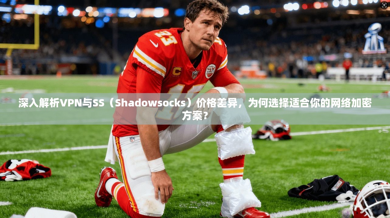 深入解析VPN与SS（Shadowsocks）价格差异，为何选择适合你的网络加密方案？