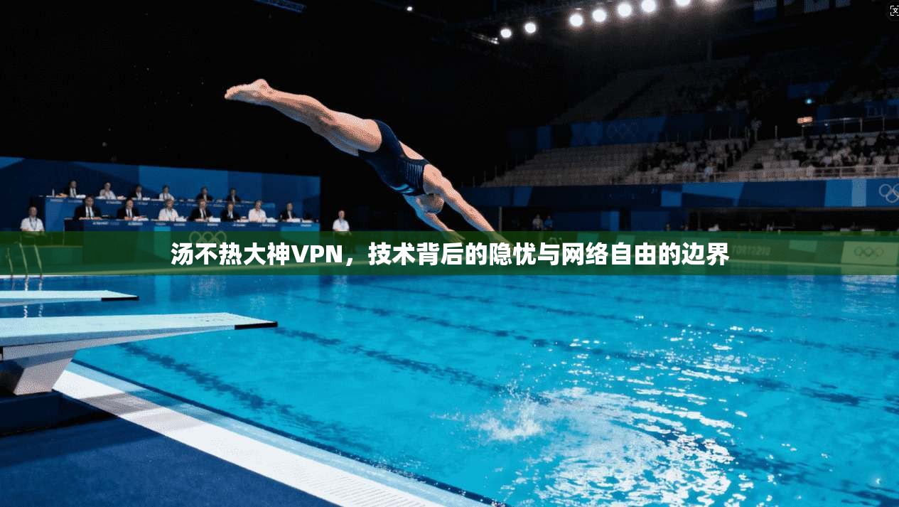 汤不热大神VPN，技术背后的隐忧与网络自由的边界