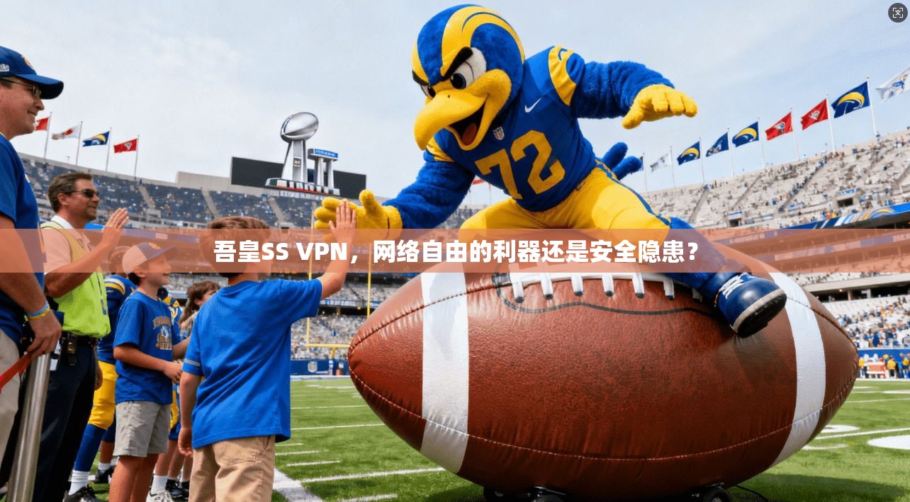 吾皇SS VPN，网络自由的利器还是安全隐患？