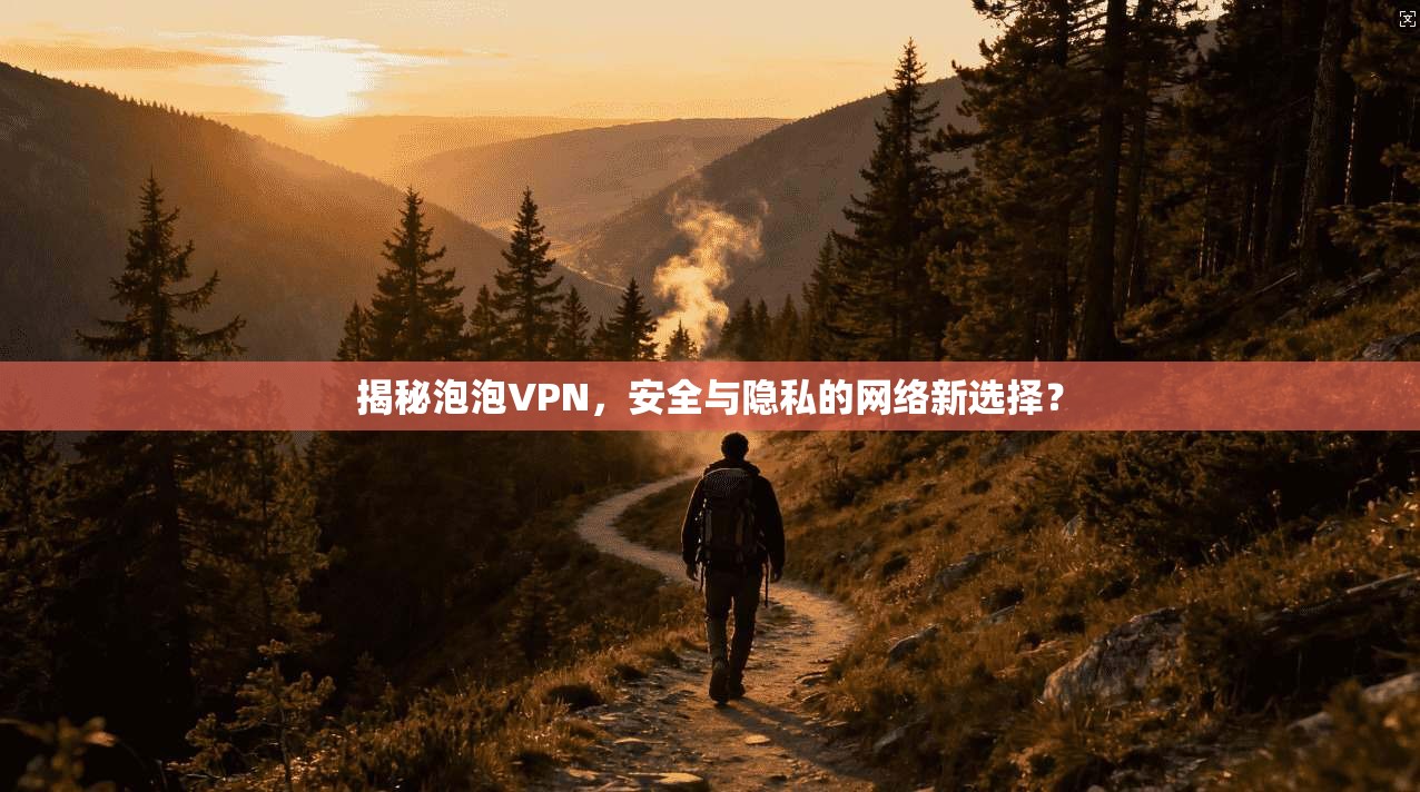 揭秘泡泡VPN，安全与隐私的网络新选择？