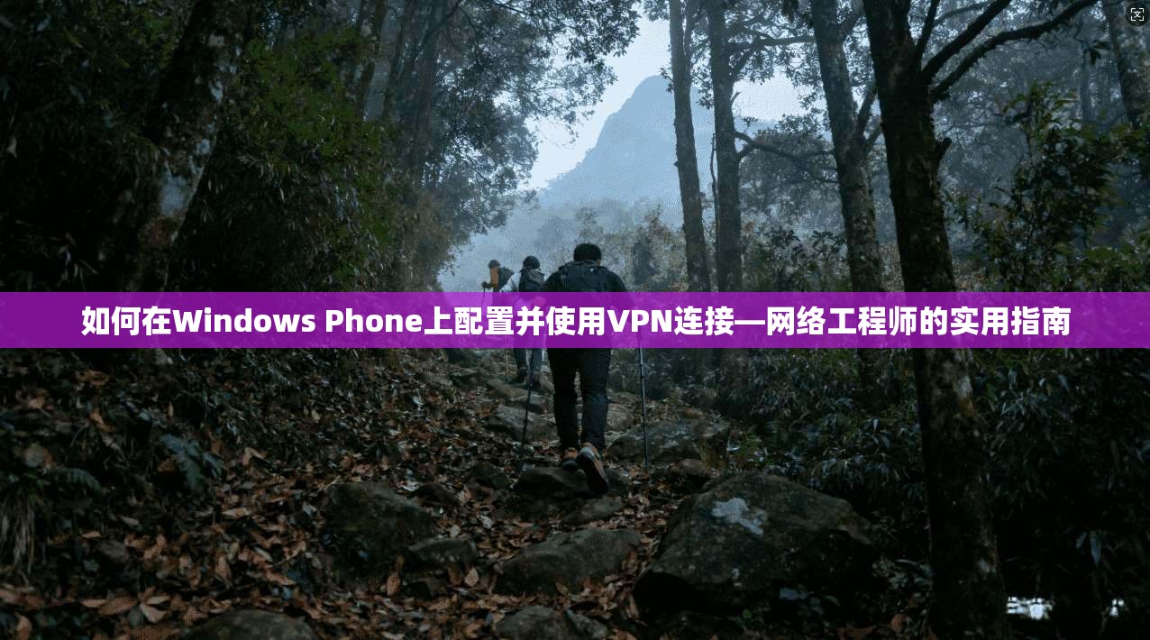 如何在Windows Phone上配置并使用VPN连接—网络工程师的实用指南