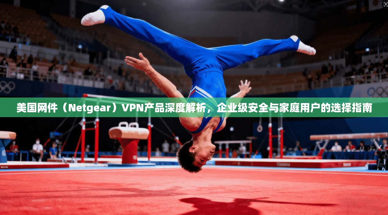 美国网件（Netgear）VPN产品深度解析，企业级安全与家庭用户的选择指南