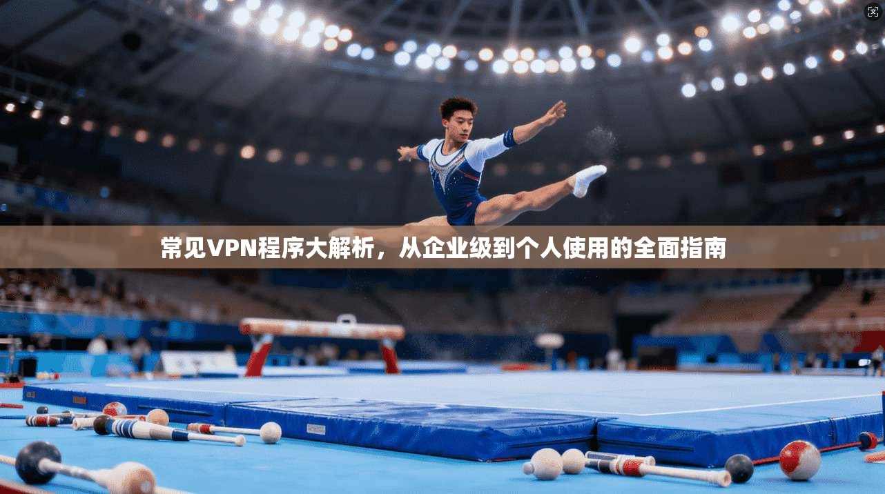 常见VPN程序大解析，从企业级到个人使用的全面指南