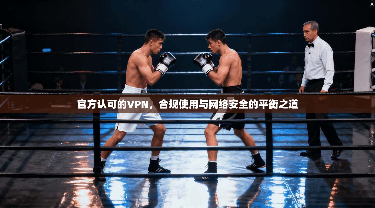官方认可的VPN，合规使用与网络安全的平衡之道
