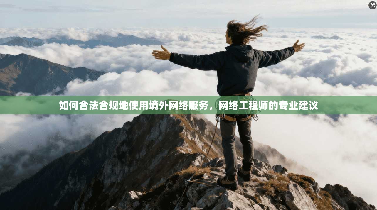 如何合法合规地使用境外网络服务，网络工程师的专业建议