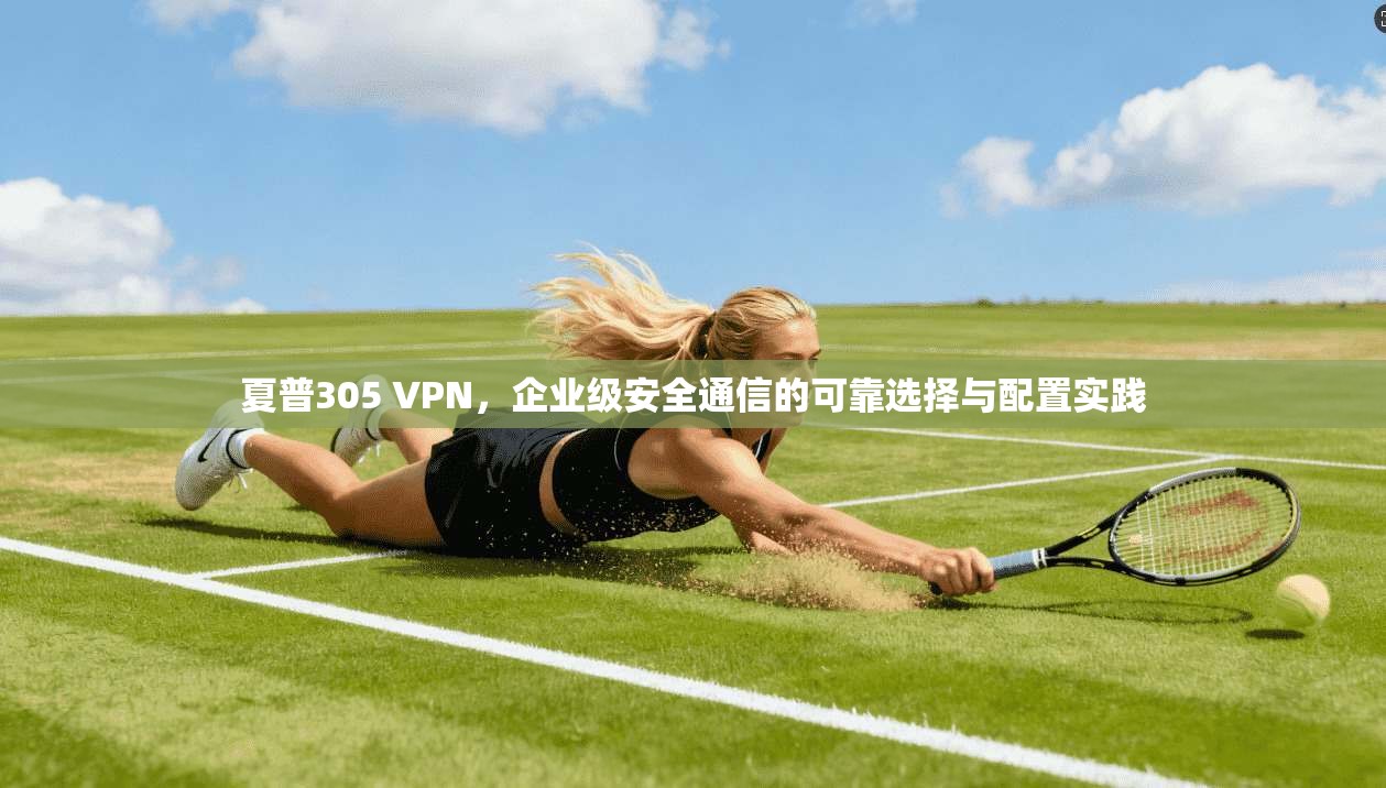 夏普305 VPN，企业级安全通信的可靠选择与配置实践