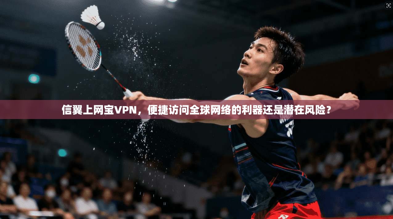 信翼上网宝VPN，便捷访问全球网络的利器还是潜在风险？