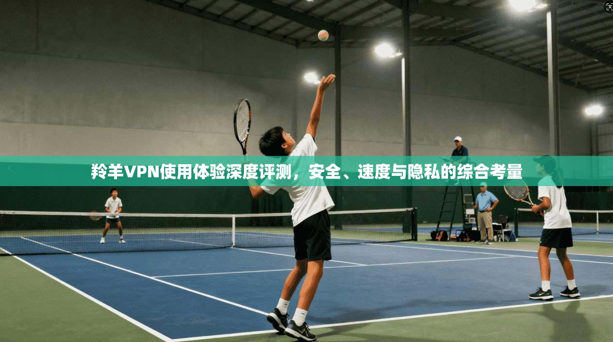 羚羊VPN使用体验深度评测，安全、速度与隐私的综合考量