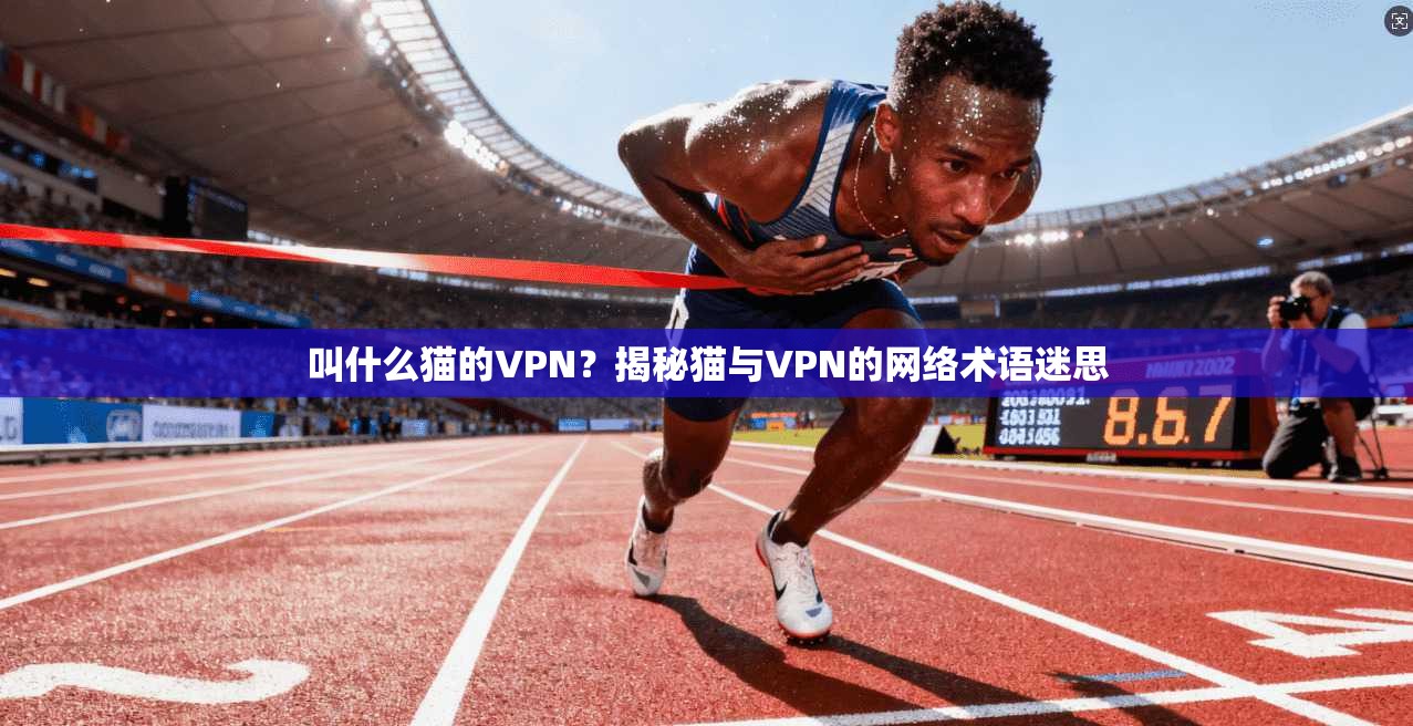 叫什么猫的VPN？揭秘猫与VPN的网络术语迷思