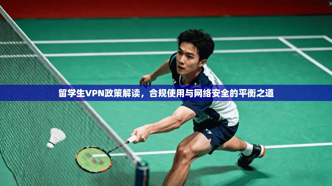留学生VPN政策解读，合规使用与网络安全的平衡之道