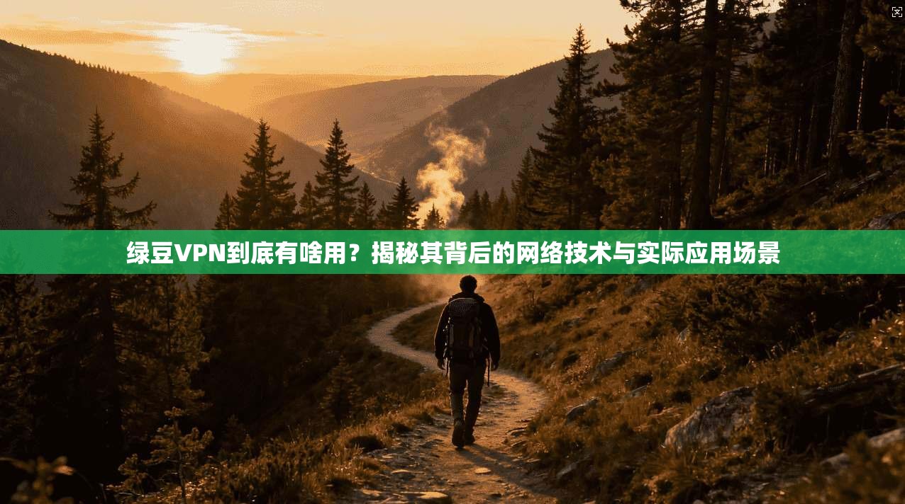 绿豆VPN到底有啥用？揭秘其背后的网络技术与实际应用场景