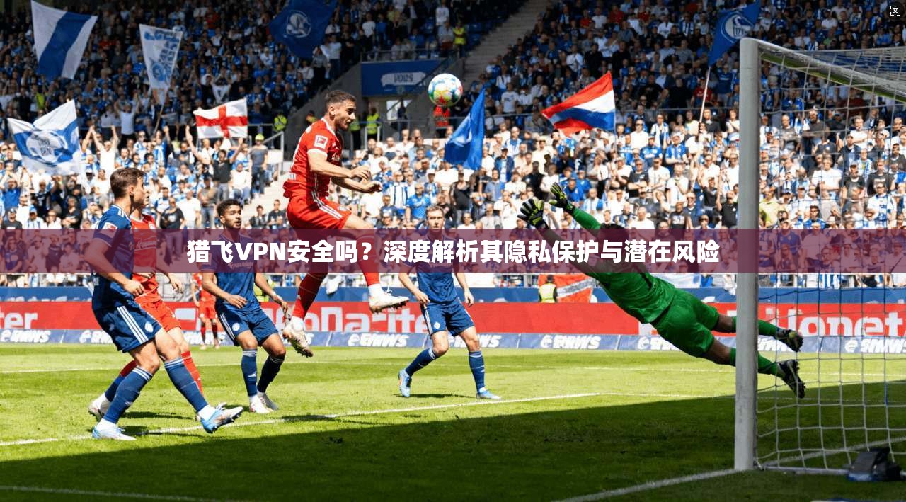猎飞VPN安全吗？深度解析其隐私保护与潜在风险