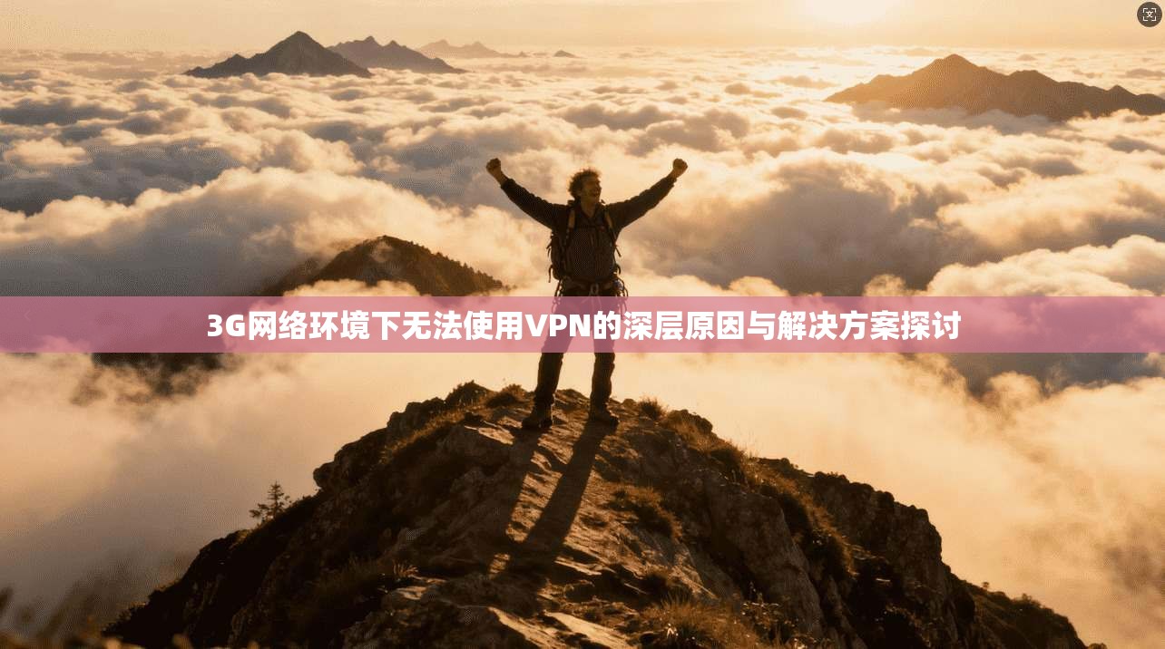 3G网络环境下无法使用VPN的深层原因与解决方案探讨