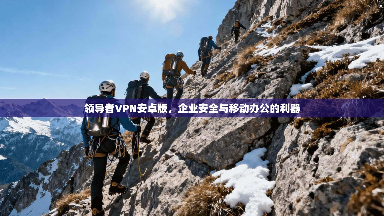 领导者VPN安卓版，企业安全与移动办公的利器