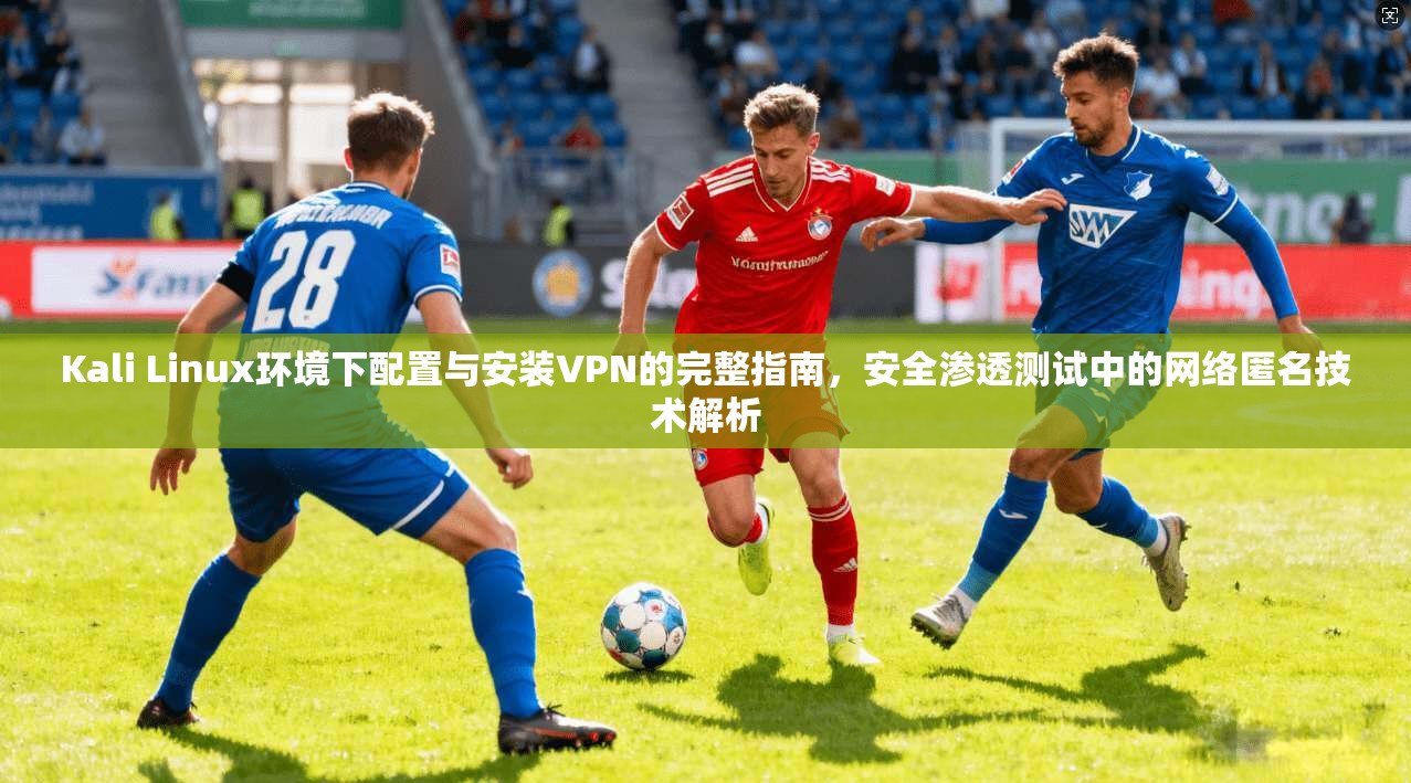 Kali Linux环境下配置与安装VPN的完整指南，安全渗透测试中的网络匿名技术解析