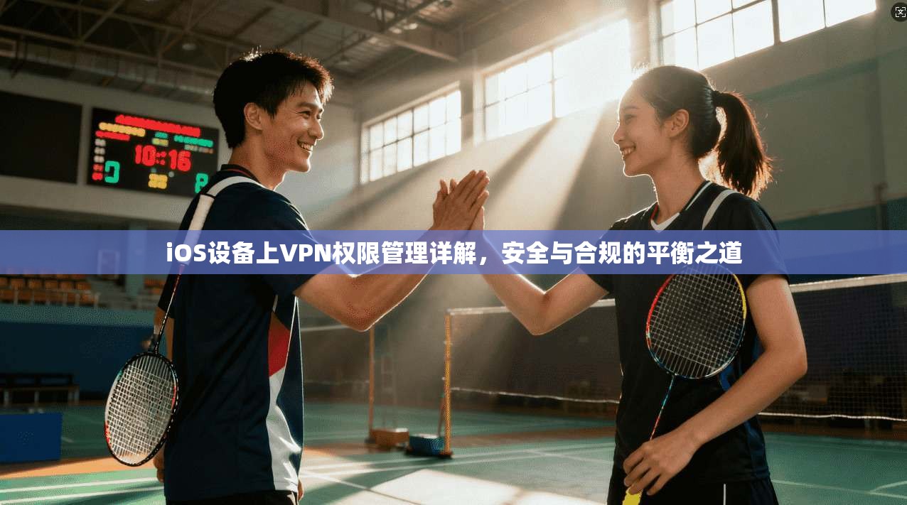 iOS设备上VPN权限管理详解，安全与合规的平衡之道