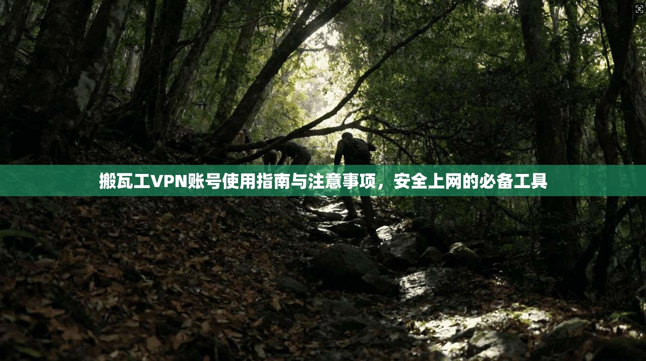 搬瓦工VPN账号使用指南与注意事项，安全上网的必备工具
