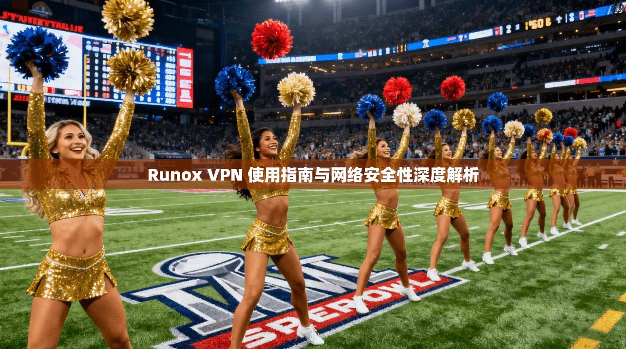 Runox VPN 使用指南与网络安全性深度解析