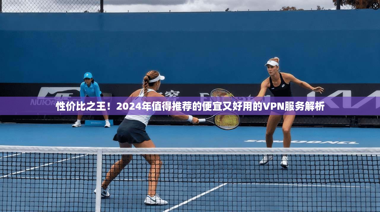 性价比之王！2024年值得推荐的便宜又好用的VPN服务解析
