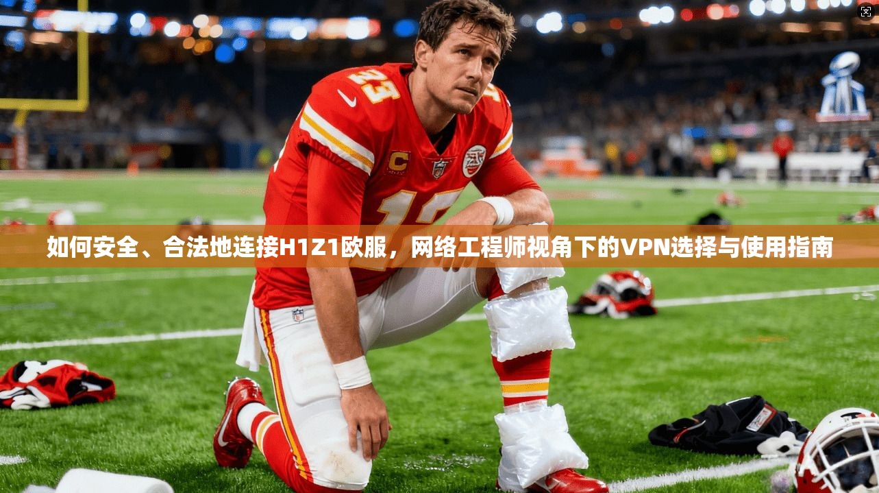 如何安全、合法地连接H1Z1欧服，网络工程师视角下的VPN选择与使用指南