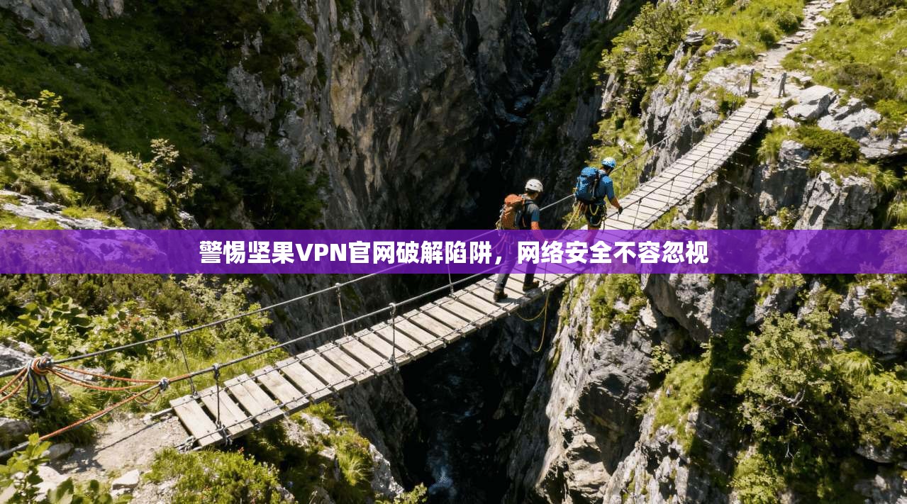 警惕坚果VPN官网破解陷阱，网络安全不容忽视