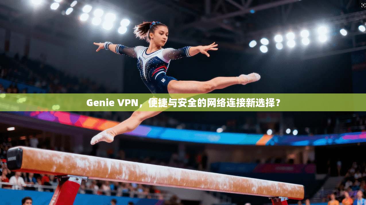 Genie VPN，便捷与安全的网络连接新选择？