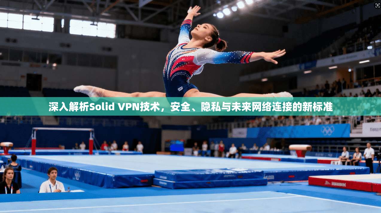 深入解析Solid VPN技术，安全、隐私与未来网络连接的新标准