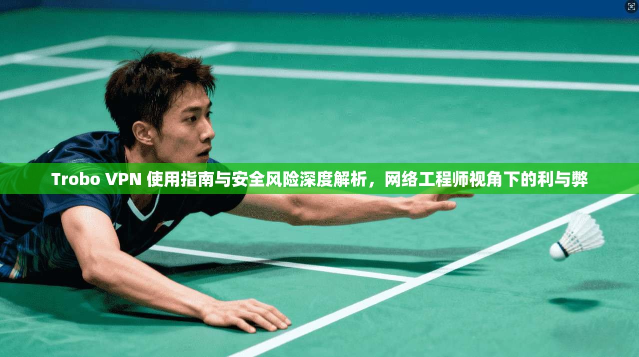 Trobo VPN 使用指南与安全风险深度解析，网络工程师视角下的利与弊