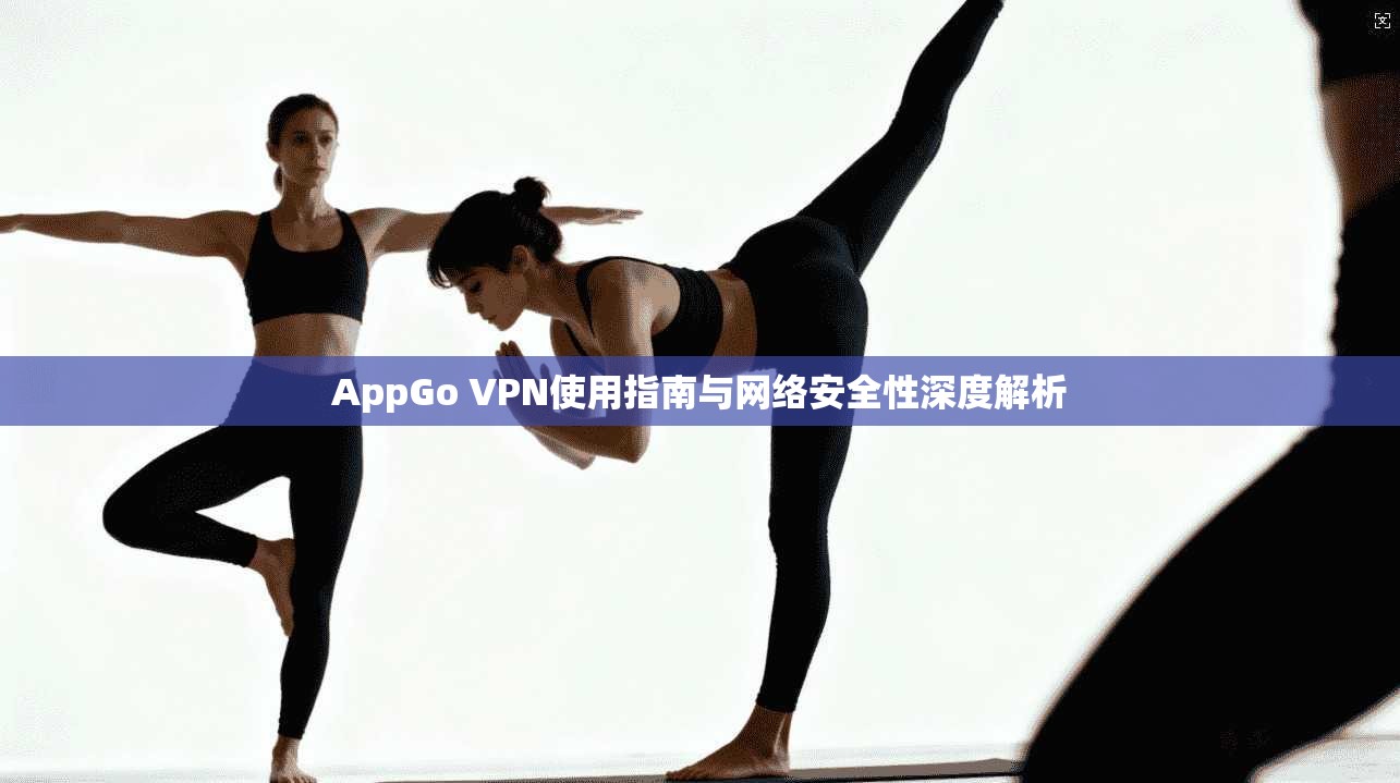 AppGo VPN使用指南与网络安全性深度解析