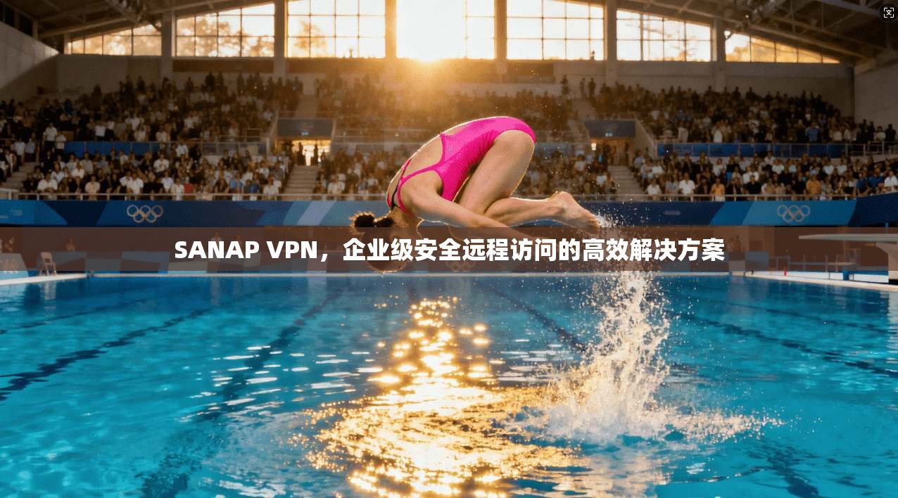 SANAP VPN，企业级安全远程访问的高效解决方案