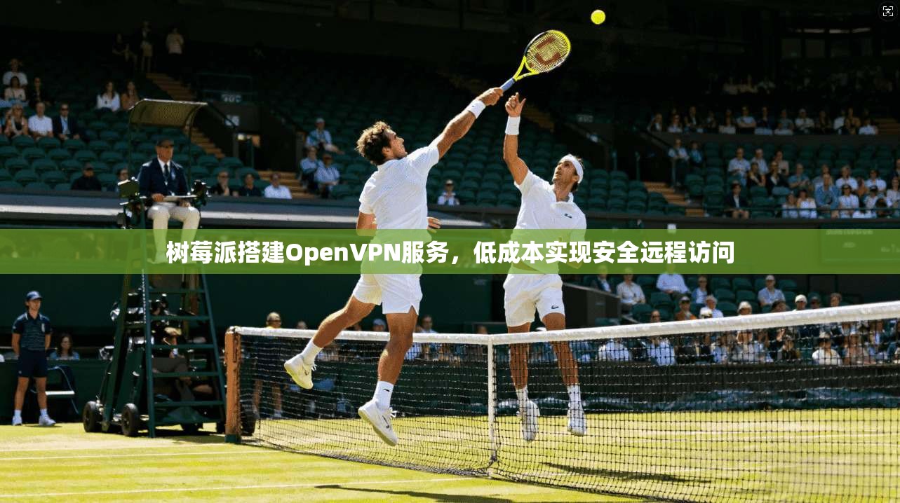 树莓派搭建OpenVPN服务，低成本实现安全远程访问