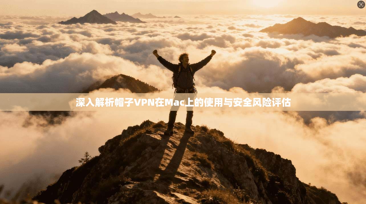 深入解析帽子VPN在Mac上的使用与安全风险评估