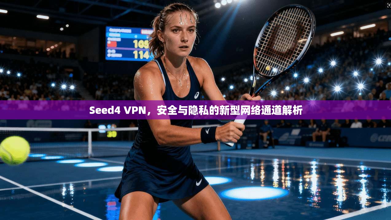Seed4 VPN，安全与隐私的新型网络通道解析