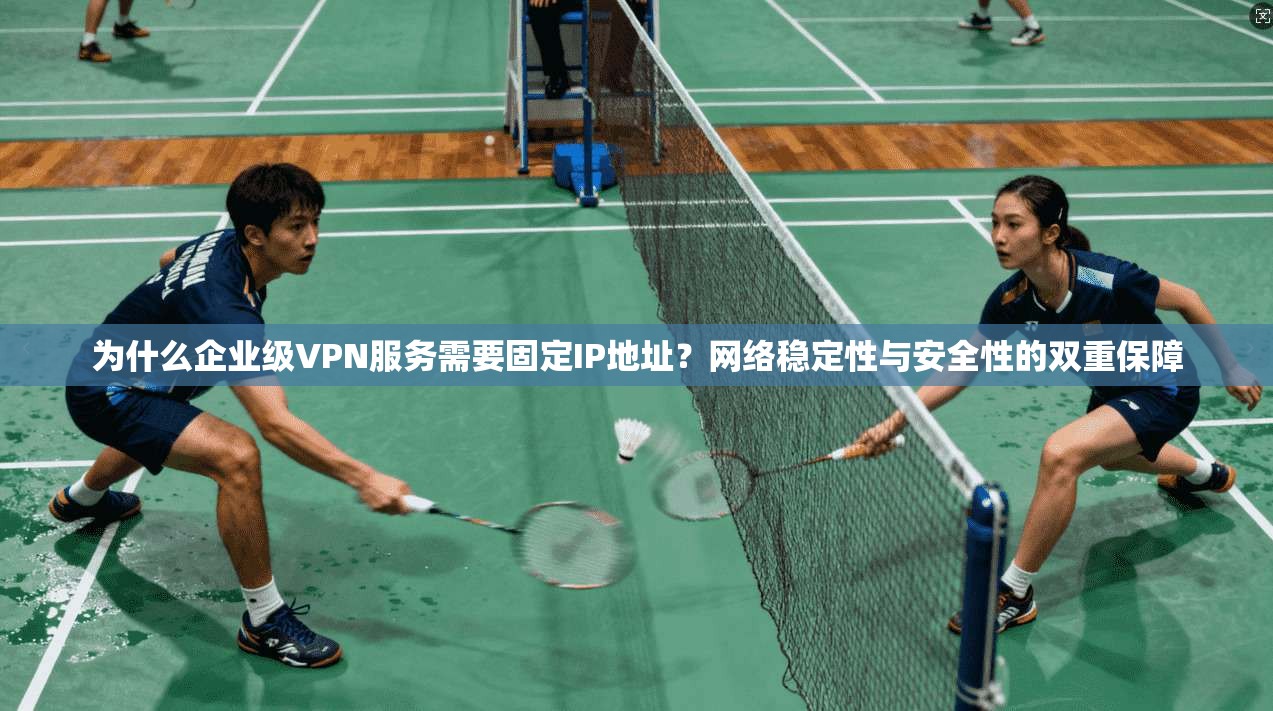 为什么企业级VPN服务需要固定IP地址？网络稳定性与安全性的双重保障