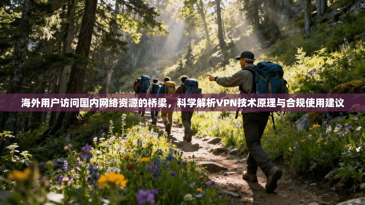 海外用户访问国内网络资源的桥梁，科学解析VPN技术原理与合规使用建议