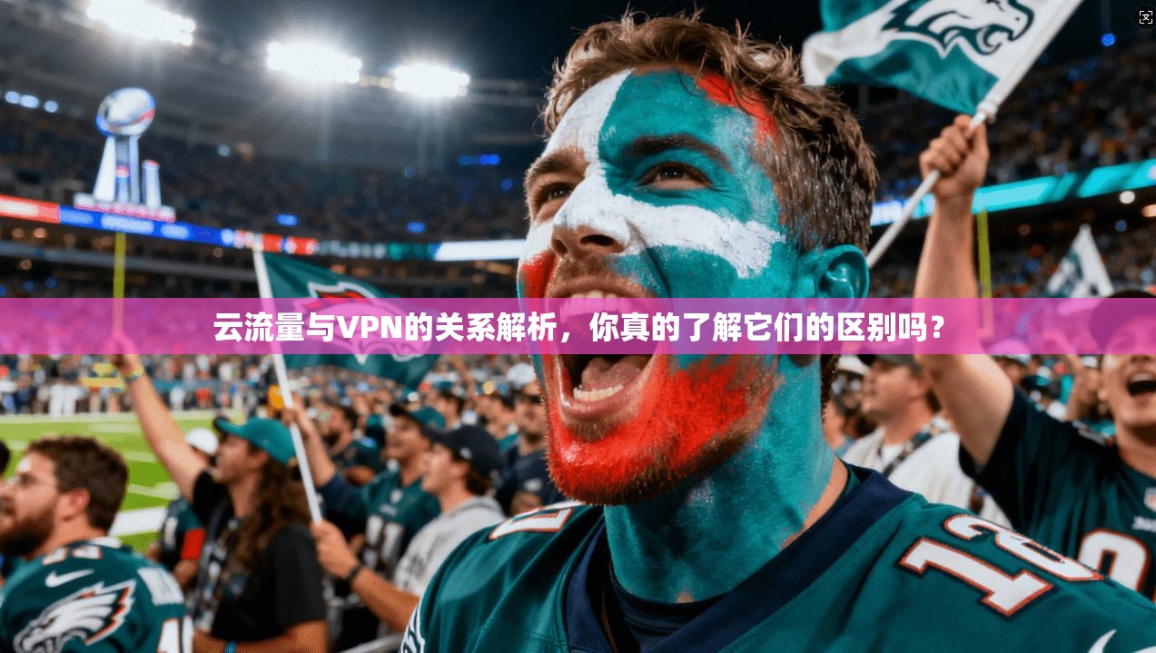 云流量与VPN的关系解析，你真的了解它们的区别吗？