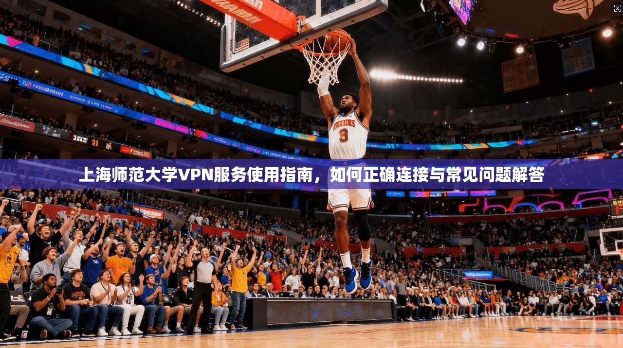 上海师范大学VPN服务使用指南，如何正确连接与常见问题解答