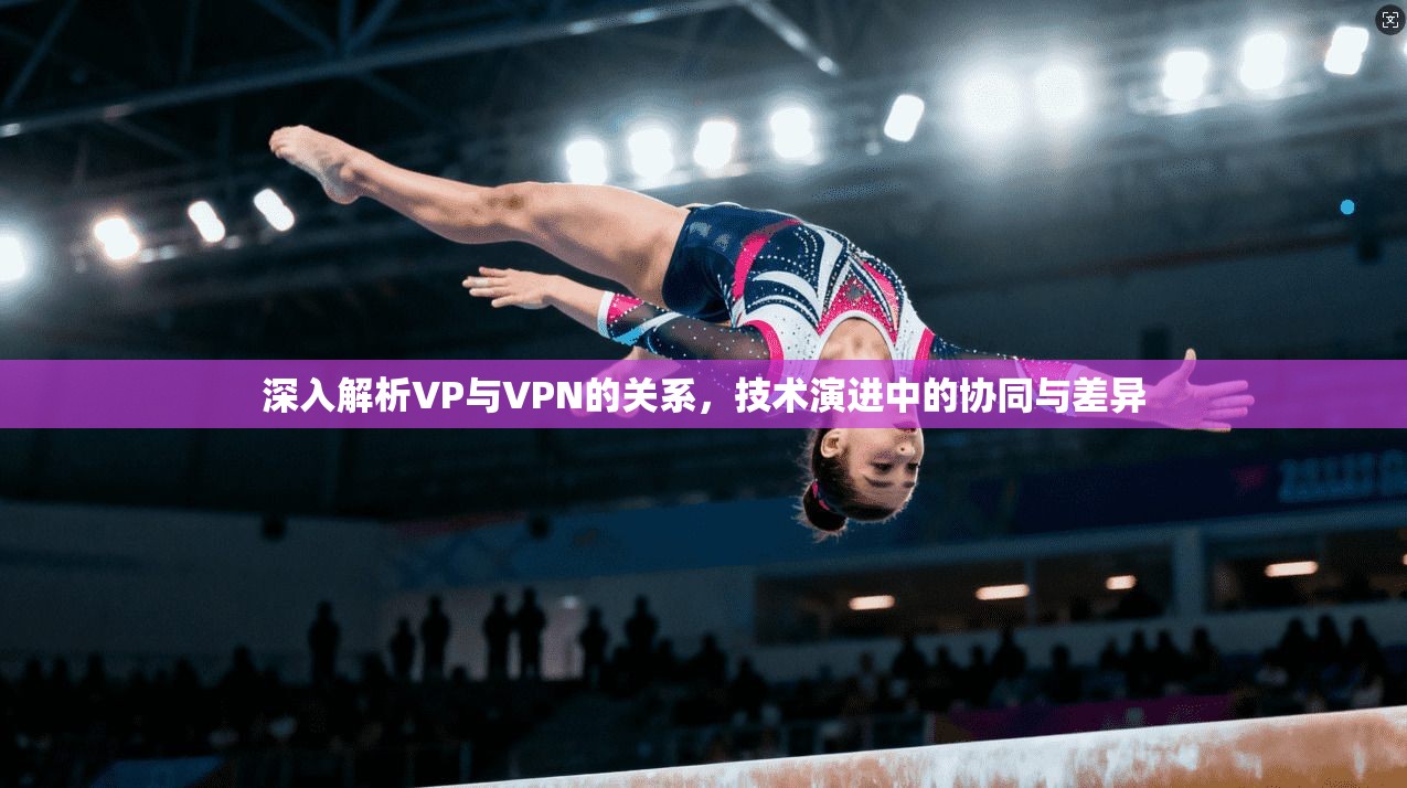深入解析VP与VPN的关系,技术演进中的协同与差异 深入解析VP与VPN的关系,技术演进中的协同与差异