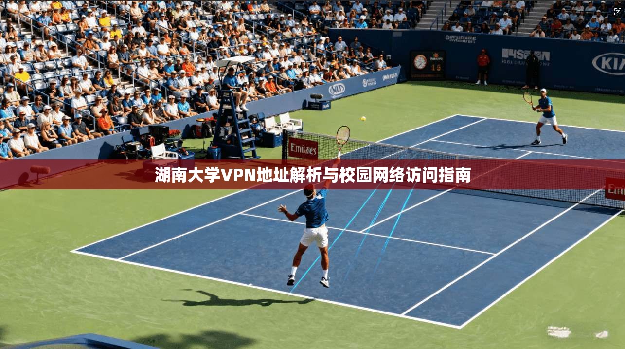 湖南大学VPN地址解析与校园网络访问指南