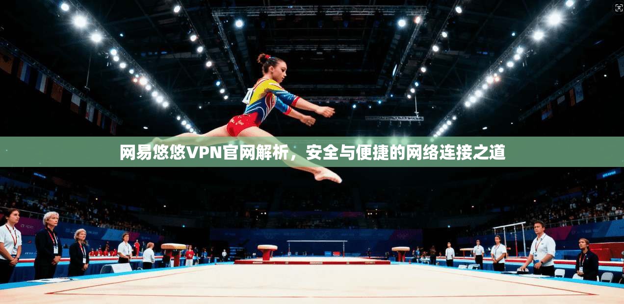 网易悠悠VPN官网解析，安全与便捷的网络连接之道
