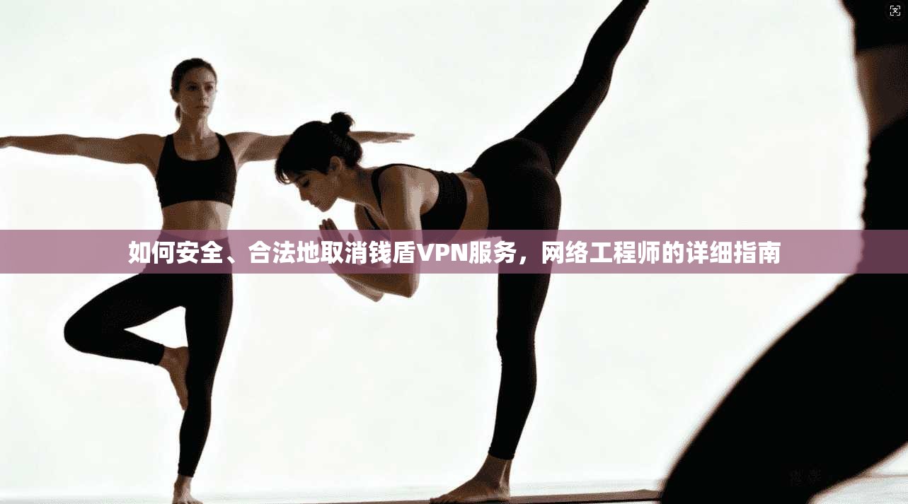 如何安全、合法地取消钱盾VPN服务，网络工程师的详细指南