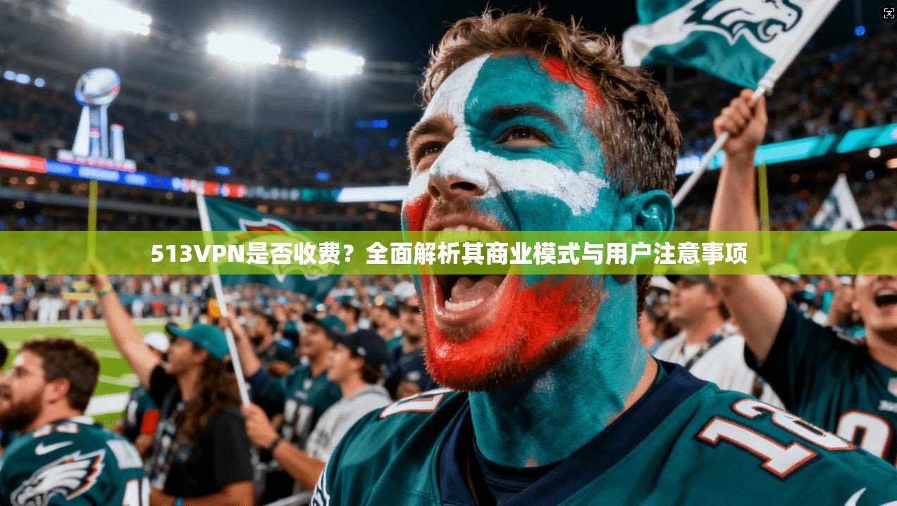 513VPN是否收费？全面解析其商业模式与用户注意事项