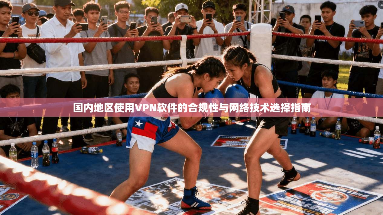 国内地区使用VPN软件的合规性与网络技术选择指南