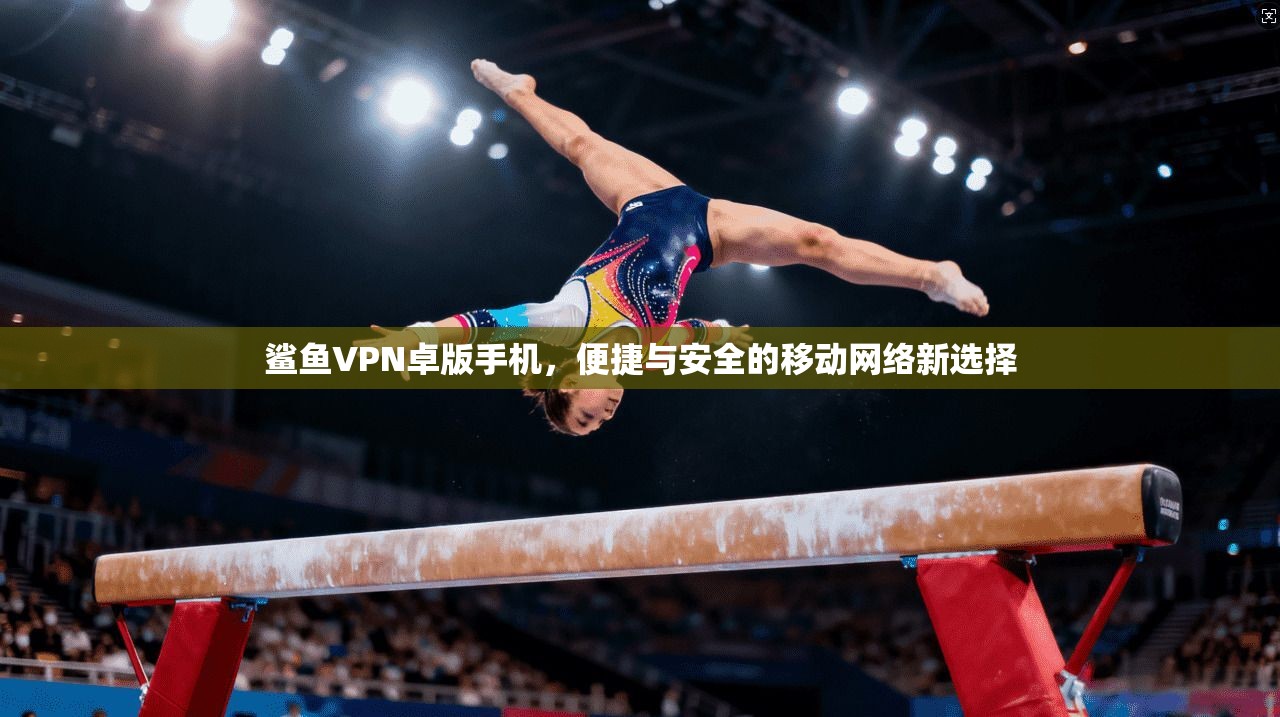 鲨鱼VPN卓版手机，便捷与安全的移动网络新选择
